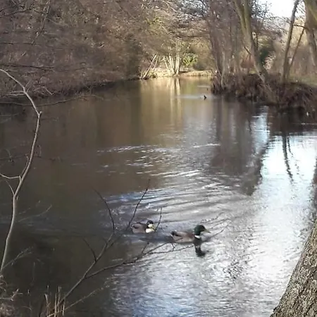 La Maison De L'isle *